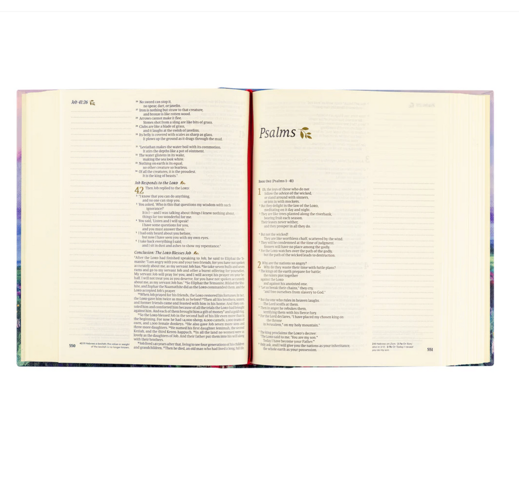 NLT Notetaking Bible: Cana Theme