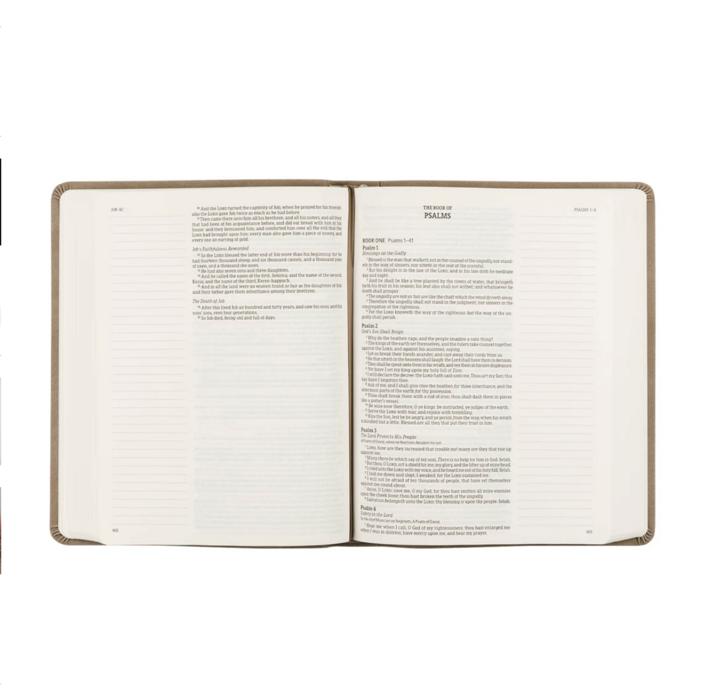KJV Large Print Notetaking Bible: Marlo Theme