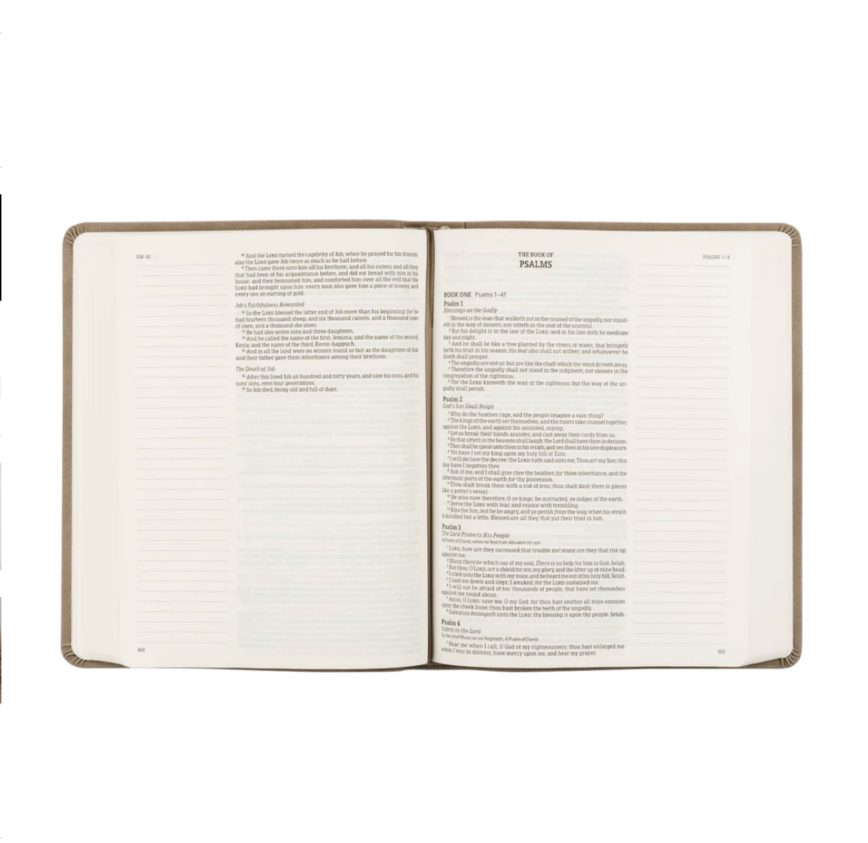 KJV Large Print Notetaking Bible: Marlo Theme