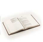 KJV Large Print Notetaking Bible: Marlo Theme