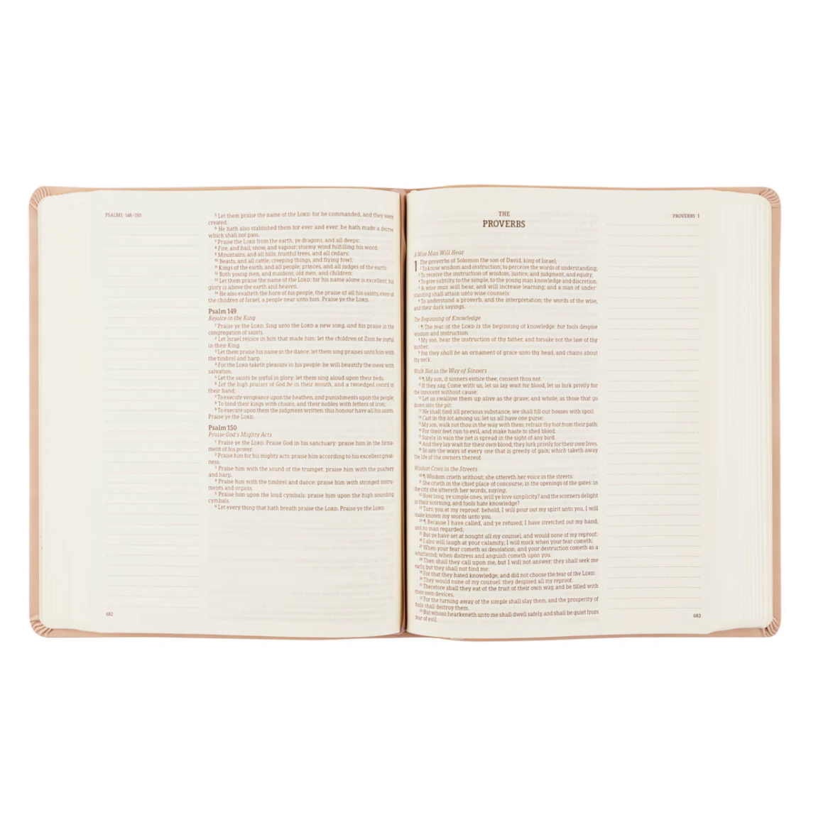 KJV Large Print Notetaking Bible: Shiloh Theme