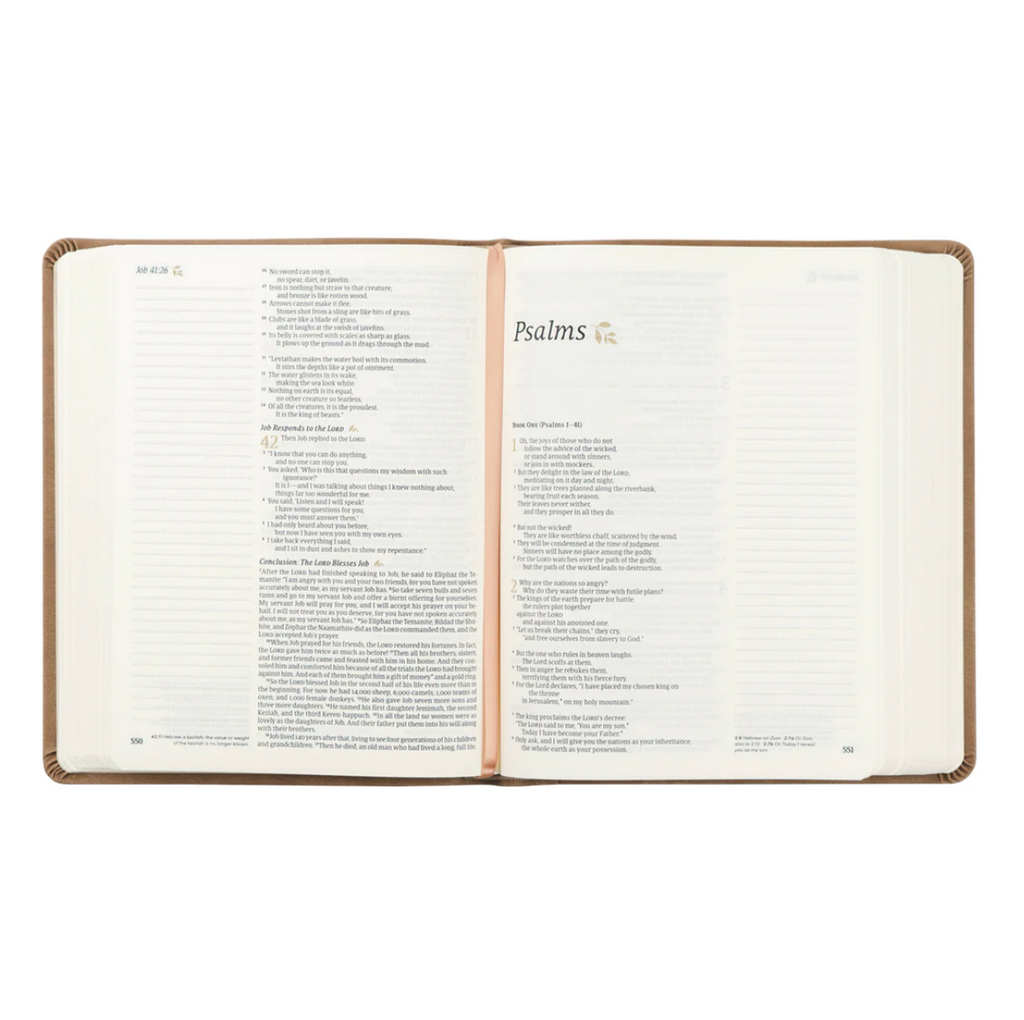 NLT Notetaking Bible: Galilee Theme