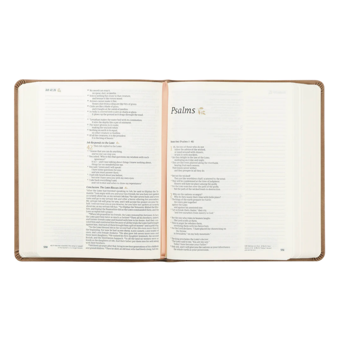 NLT Notetaking Bible: Galilee Theme