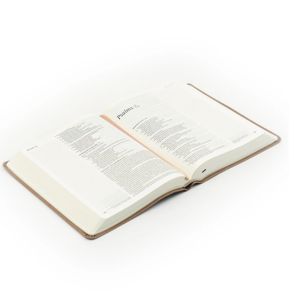 NLT Notetaking Bible: Galilee Theme