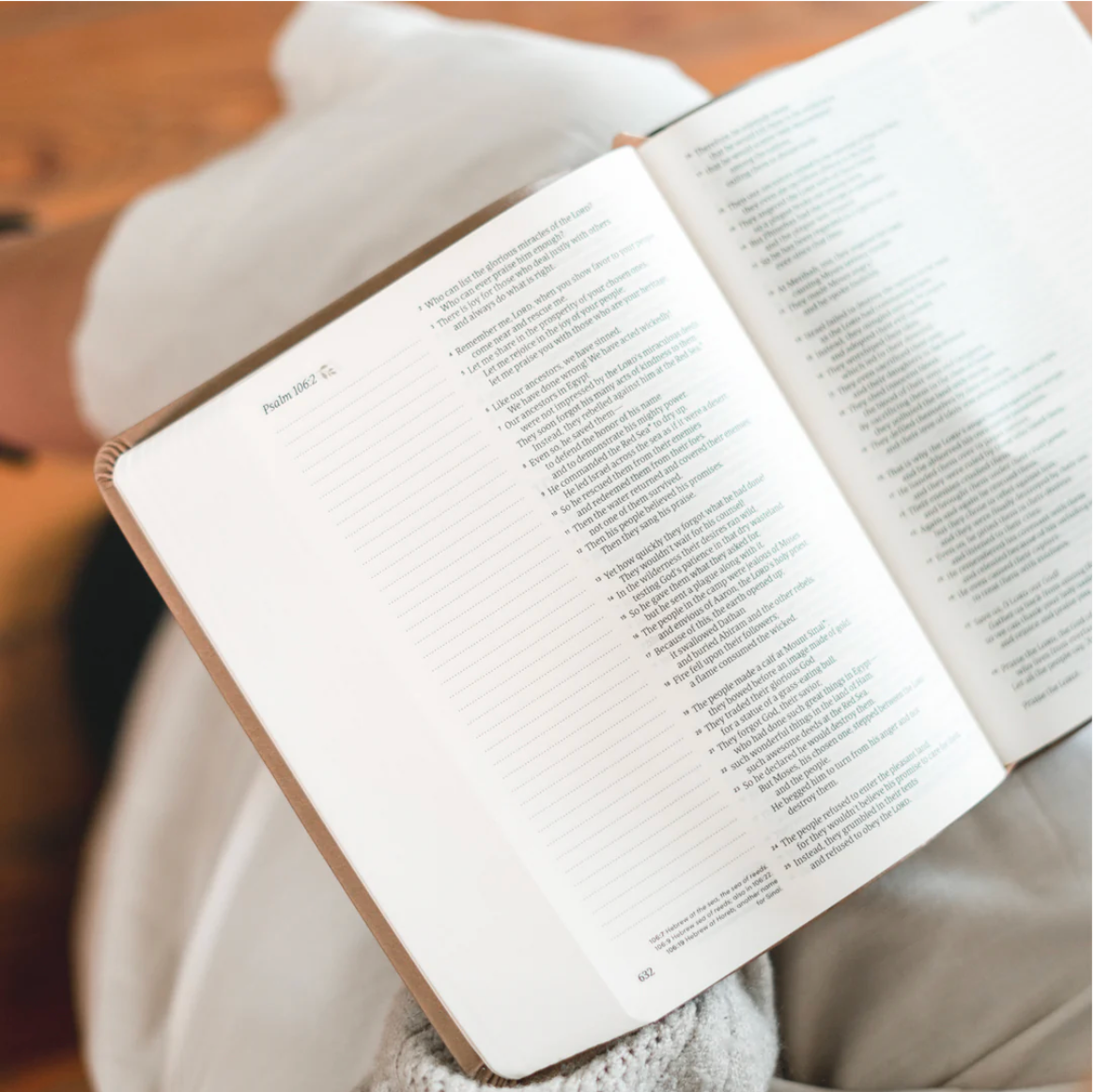 NLT Notetaking Bible: Galilee Theme