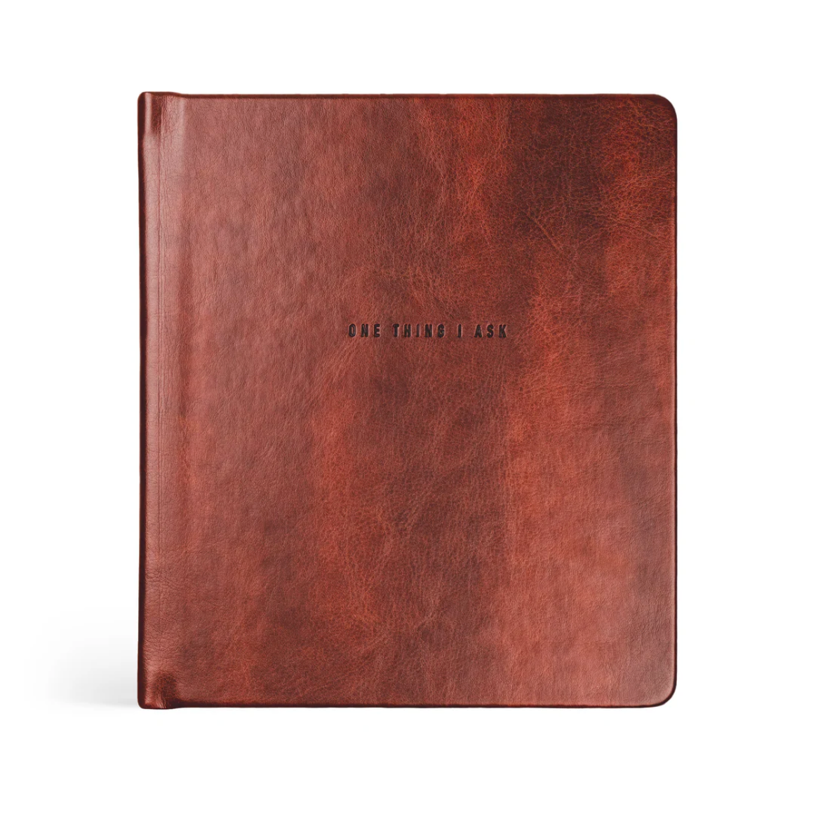 One Thing I Ask 5-Year Prayer Journal: Stockholm Theme