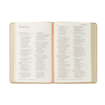 NLT Compact Bible: Sonora Theme
