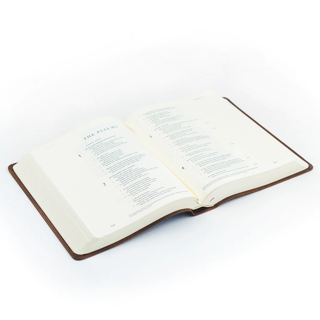 ESV Journaling Bible: Westminster Theme