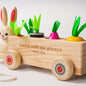 NEW! KIDS: Pull-Along Bunny Toy